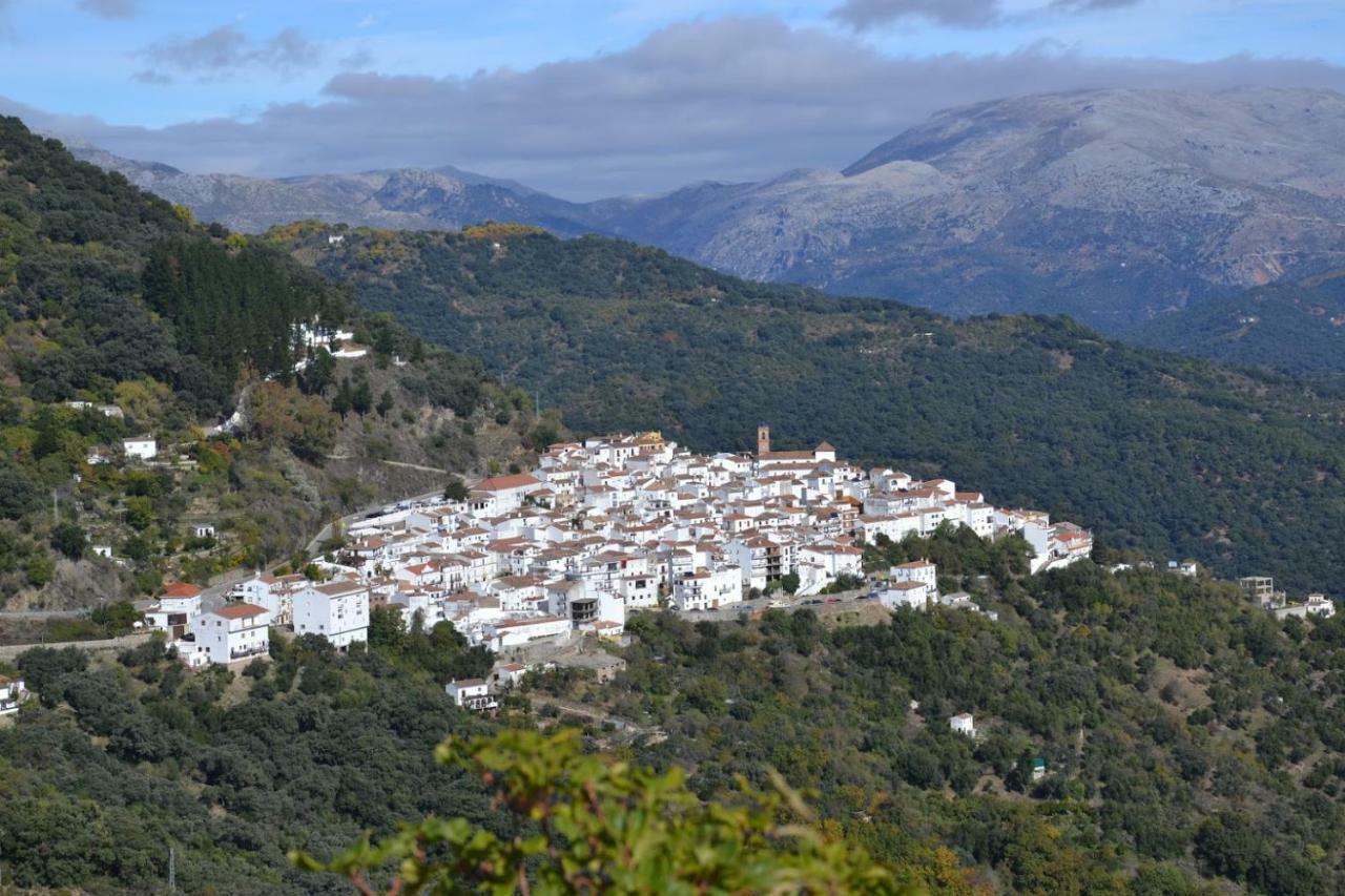 Apartmán El Patio Dona Julia Casares Exteriér fotografie