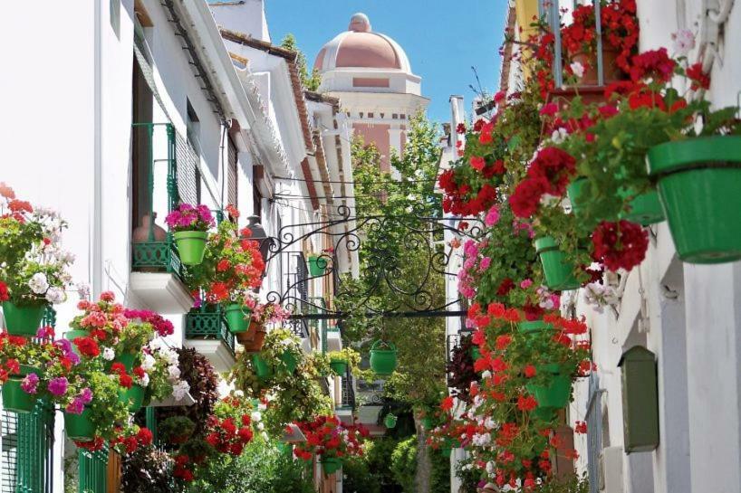Apartmán El Patio Dona Julia Casares Exteriér fotografie